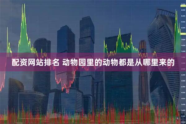 配资网站排名 动物园里的动物都是从哪里来的