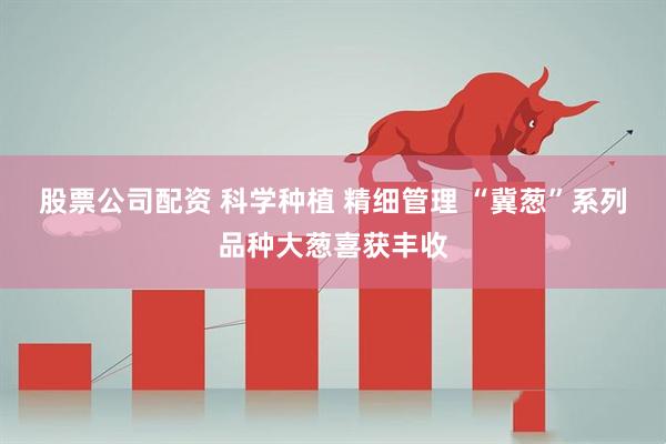 股票公司配资 科学种植 精细管理 “冀葱”系列品种大葱喜获丰收