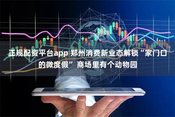 正规配资平台app 郑州消费新业态解锁“家门口的微度假” 商场里有个动物园