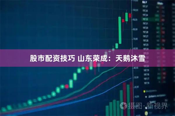 股市配资技巧 山东荣成：天鹅沐雪